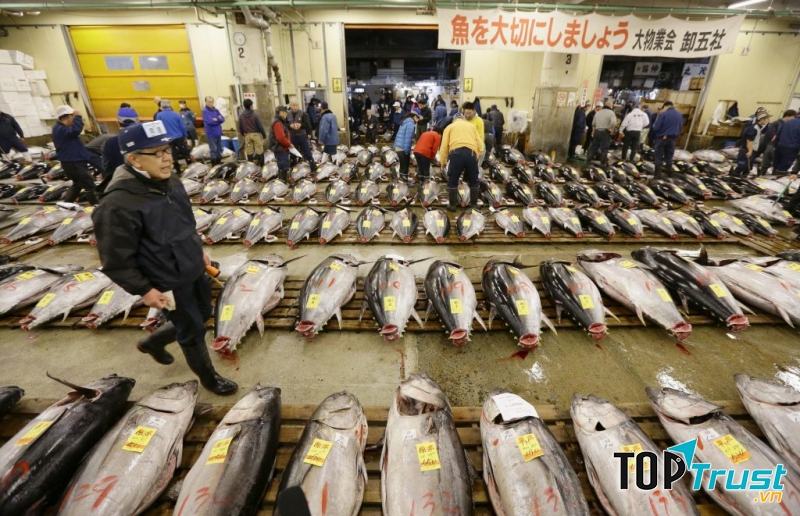 Chợ cá Tsukiji, Tokyo,Nhật bản