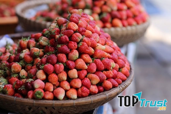 Đặc sản dâu tây