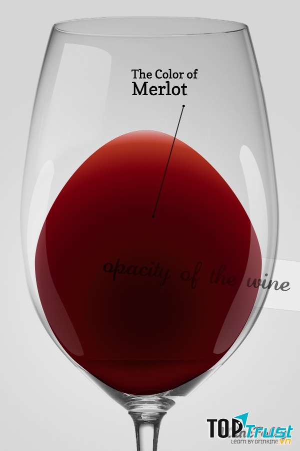 Ảnh minh họa - nguồn internet