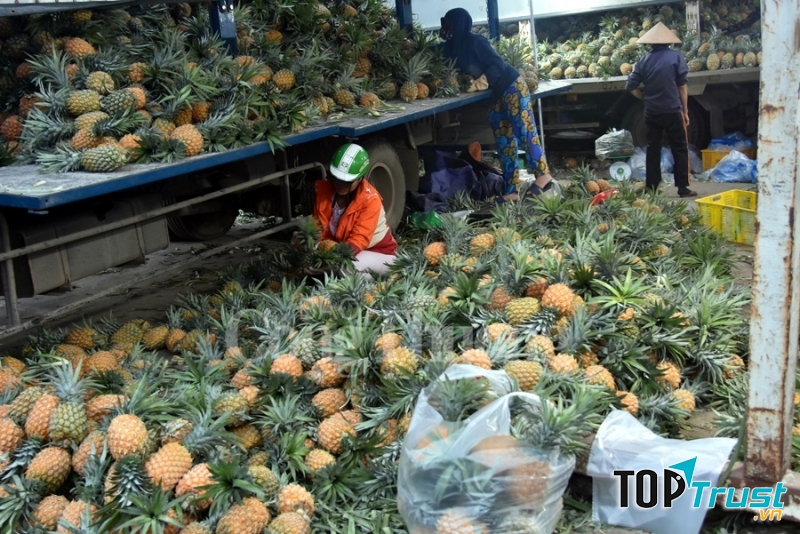 Chợ đầu mối phía Nam