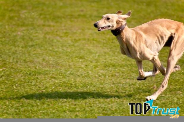 Ảnh minh họa - nguồn: internet