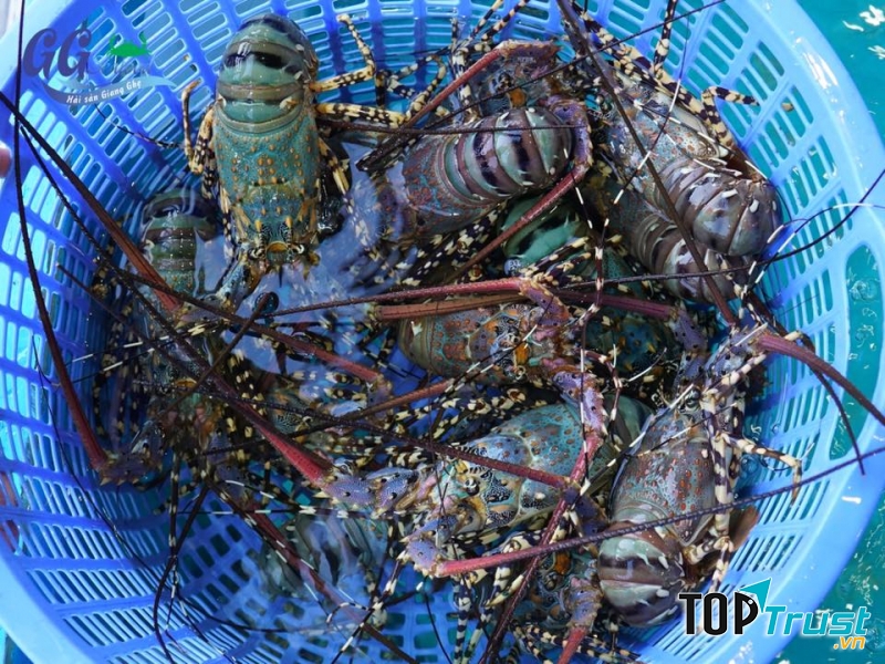Chợ hải sản Giang Ghẹ