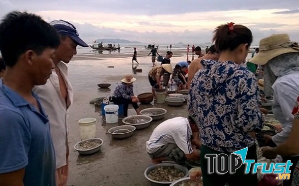 Chợ Hải Sản