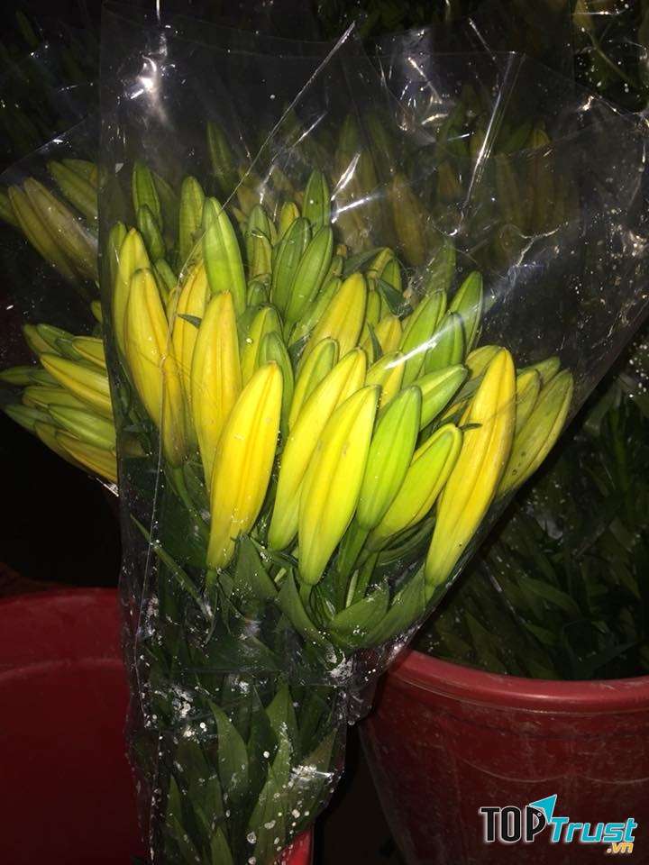 Chợ hoa Hà Đông