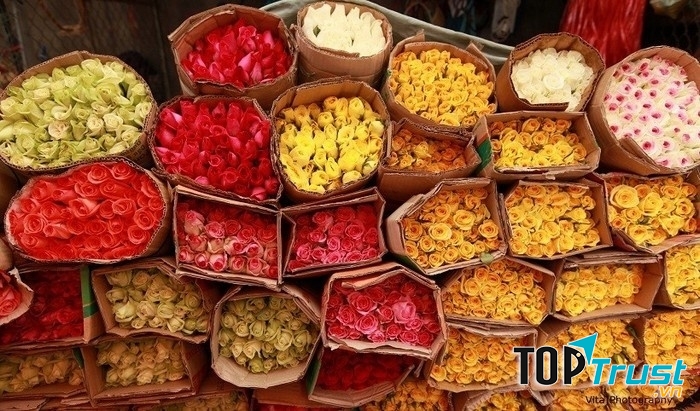 Những bông hoa đẹp kiêu sa giữa chợ hoa Hồ Thị Kỷ