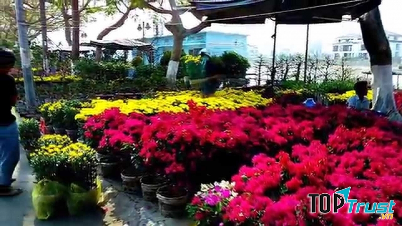 Chợ hoa Long Xuyên