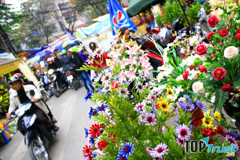 Các loại hoa cùng nhau khoe sắc