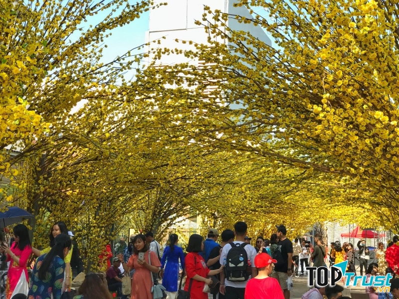 Ảnh minh họa (nguồn internet)