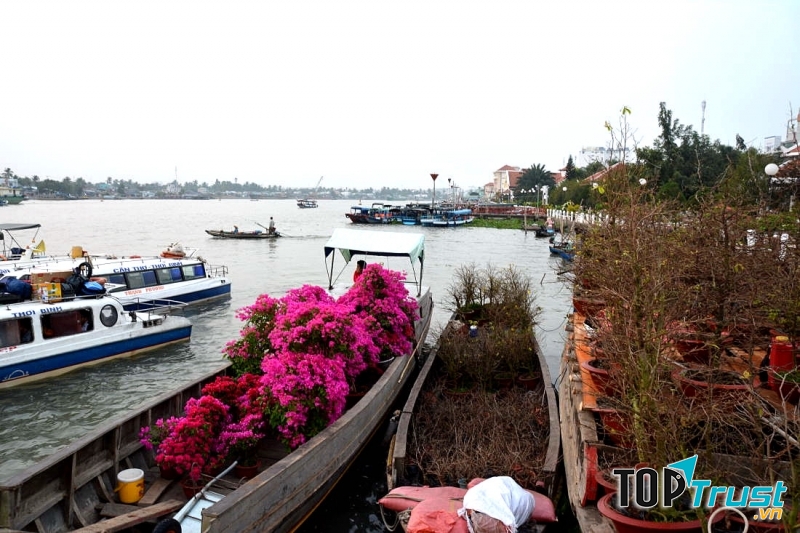 Chợ hoa Ninh Kiều