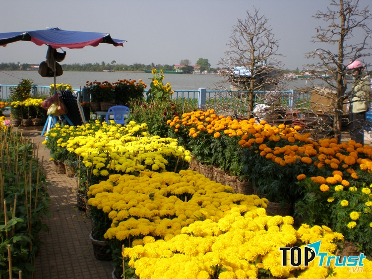Chợ hoa sông Tiền
