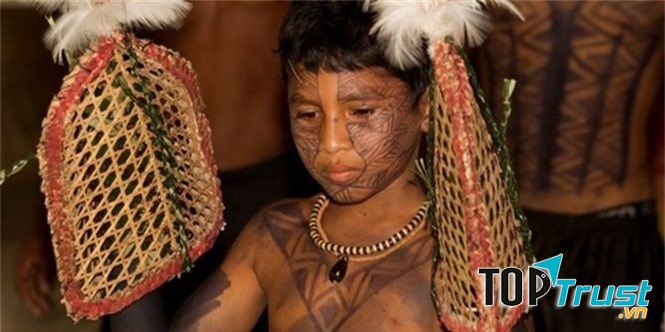 Cho kiến đốt tay