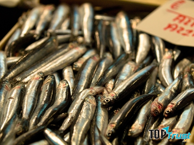 Cá tươi rói ở khu chợ này