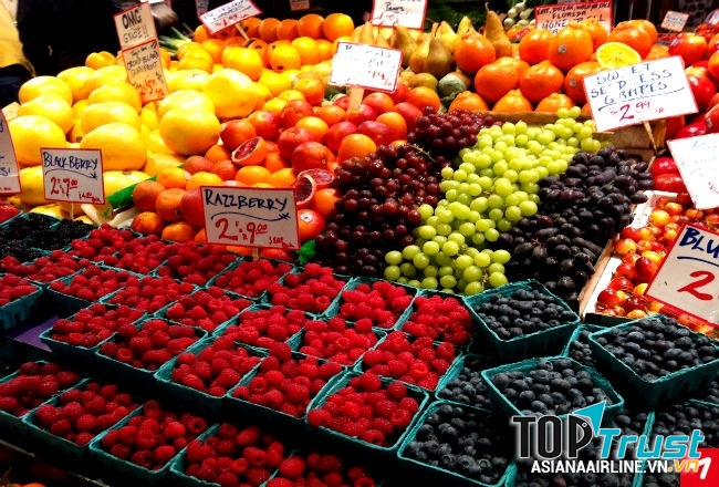 Vô số các loại quả