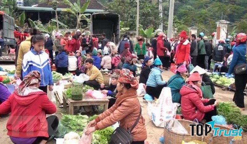 Ảnh minh họa (nguồn internet)