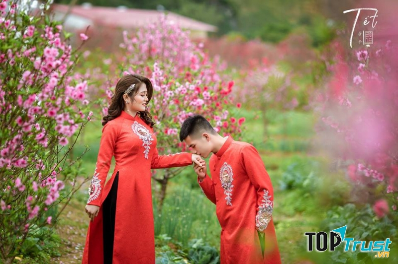 Thiết kế áo dài cưới  rất đa dạng và sáng tạo, không hề gò bó một quy tắc nhất định.