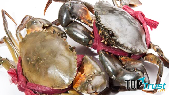 Những con cua ngon thì mai cua có màu sẫm.