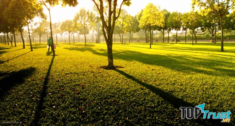 Chọn hướng sáng, lấy nét đối tượng