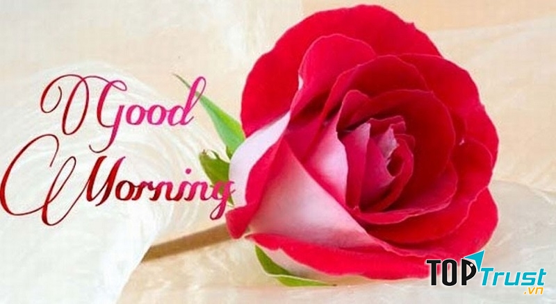 Thời điểm tốt nhất để học hiệu quả là vào buổi sáng.