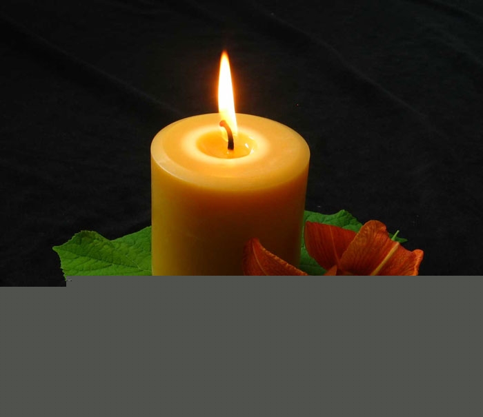 Ảnh minh họa - nguồn internet