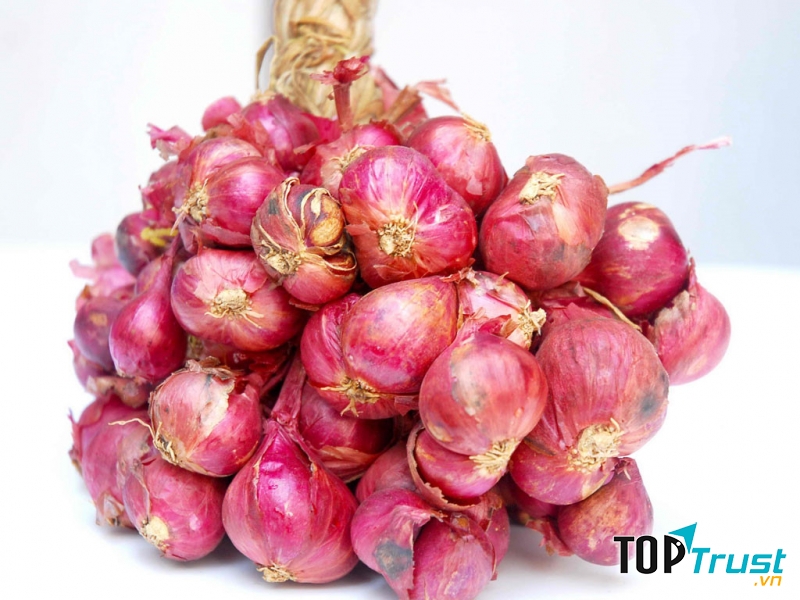 Hành tím giúp cầm máu