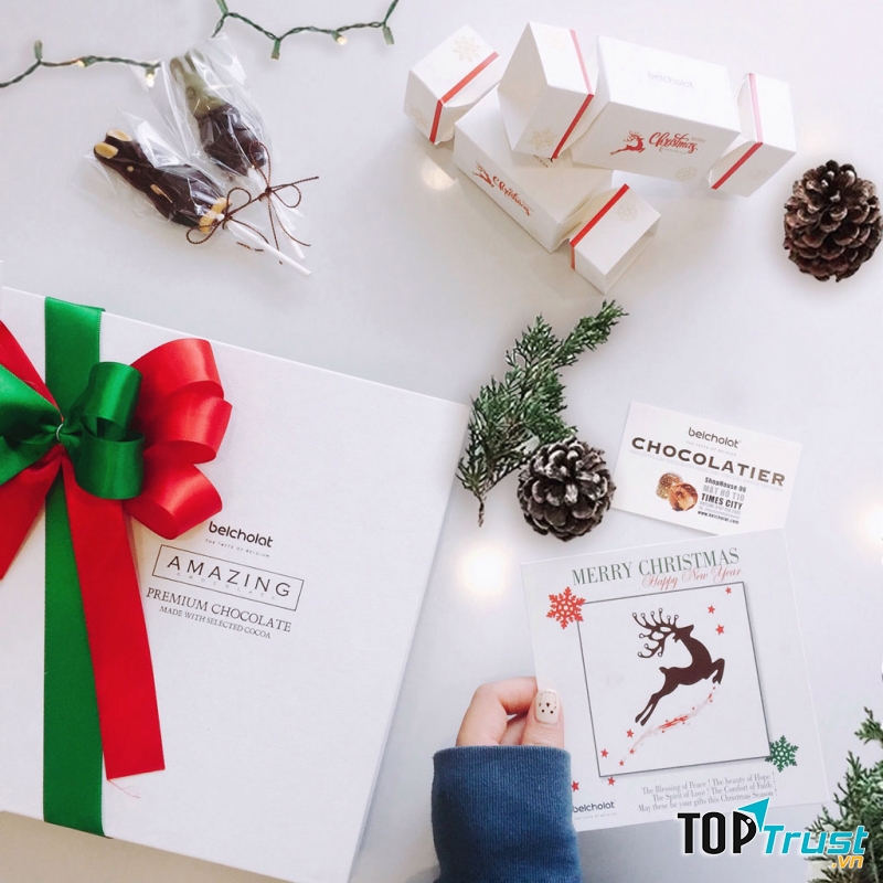 Christmas Gourmet Chocolate Praline