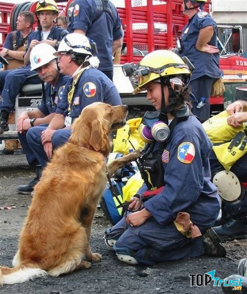 Ảnh minh họa (Nguồn Internet)