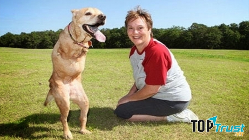 Chú chó Faith chỉ có 2 chân sau rất dễ thương