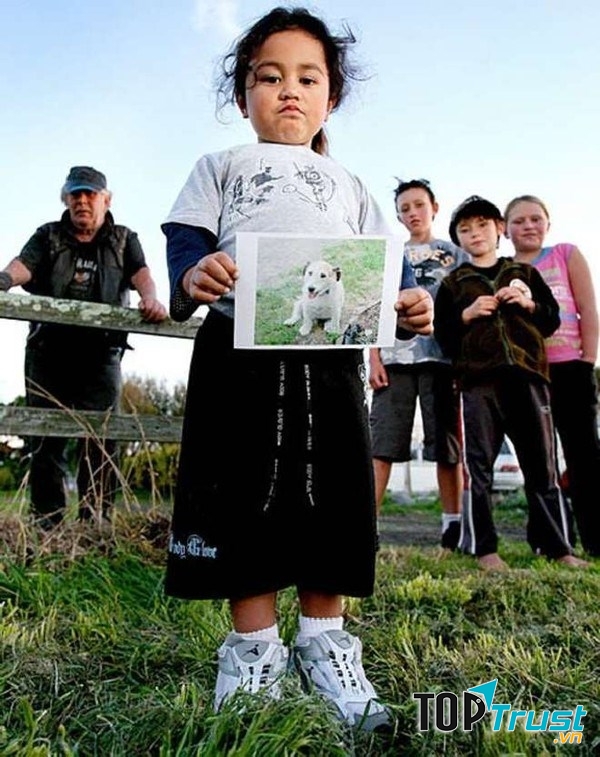 Ảnh minh họa (Nguồn Internet)