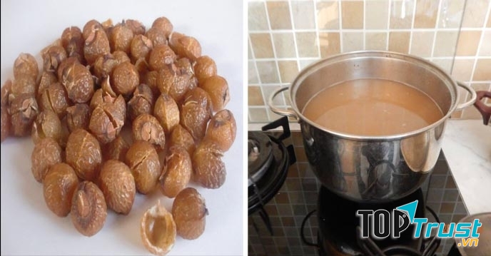 Chữa các bệnh ngoài da bằng quả bồ hòn