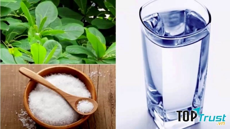 Chữa đau nhức răng bằng lá bàng