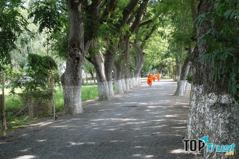 Con đường nhỏ với những hàng còng trăm tuổi xanh mát cả lối đi