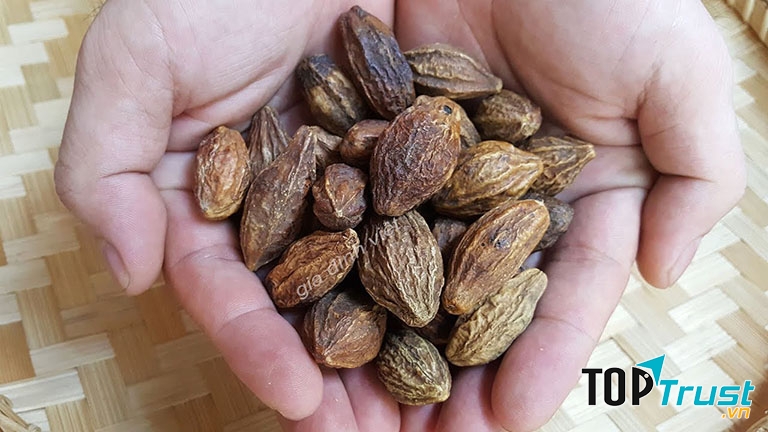 Cách chữa ho bằng quả Kha tử