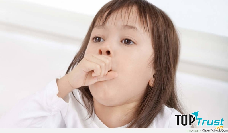 hoa hướng dương chữa ho gà hiệu quả cao