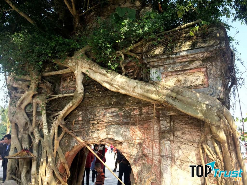 Cổng chùa cổ của chùa Hoằng Phúc.