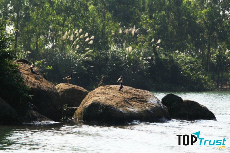 Phong cảnh hữu tình