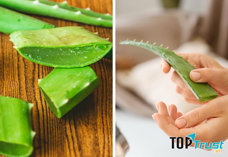 Chữa lành vết thương bằng nha đam