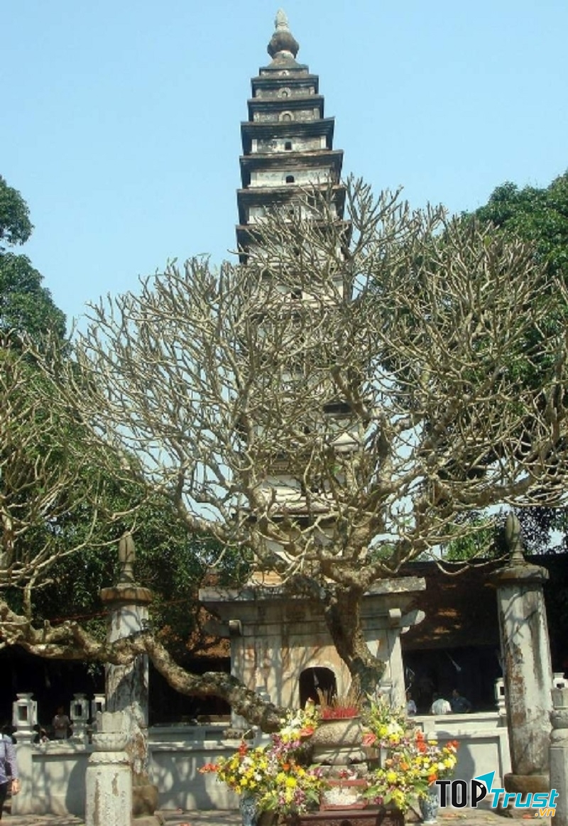 Tháp Phổ Minh mang nét cổ kính độc đáo