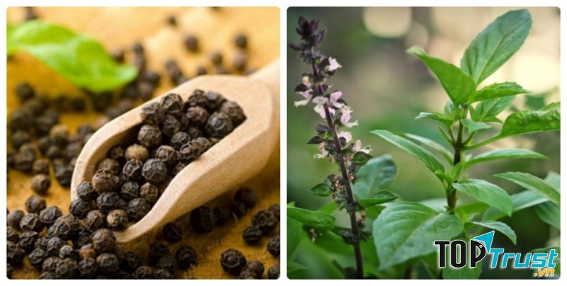 Chữa sâu răng bằng hạt tiêu đen và húng quế