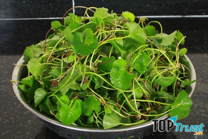 Chữa sốt xuất huyết