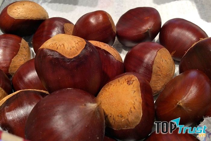 Chữa suy nhược cơ thể, tay chân đau nhức, yếu mệt
