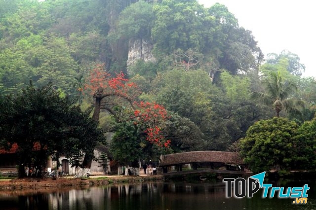 Quang cảnh chùa Thầy