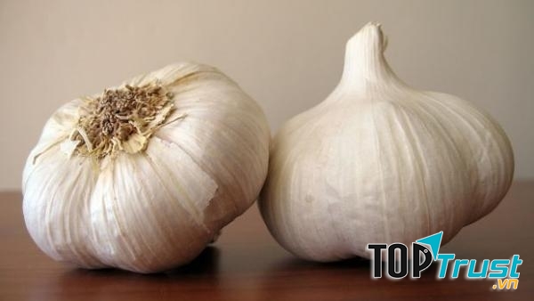 Tỏi