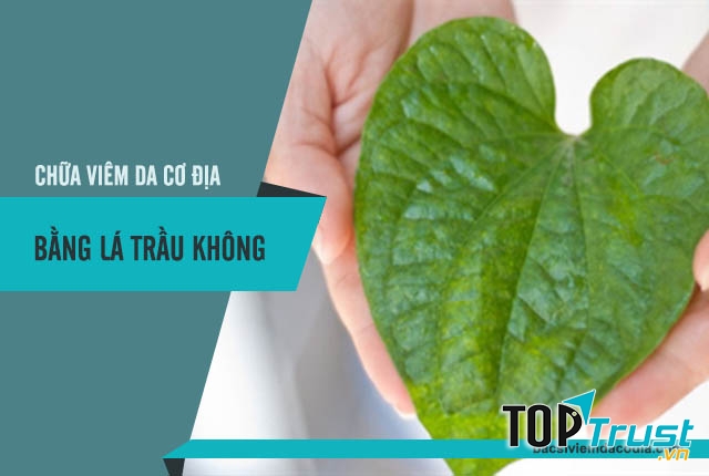 Chữa viêm da cơ địa bằng lá trầu không