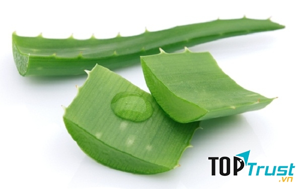 Không chỉ làm đẹp nha đam còn chữa được bệnh viêm đại tràng mà bạn nên biết.