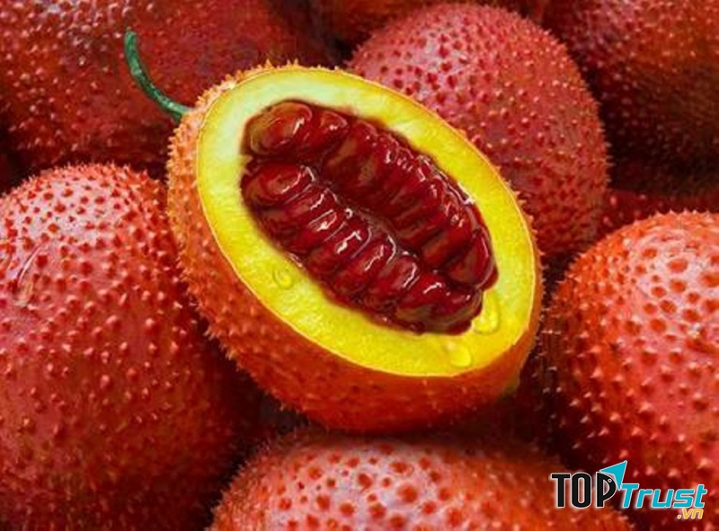 Cách sử dụng hạt gấc chữa viêm mũi dị ứng