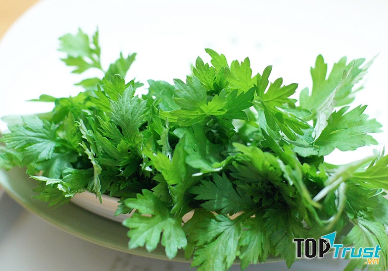 Chữa viêm mũi dị ứng bằng ngãi cứu