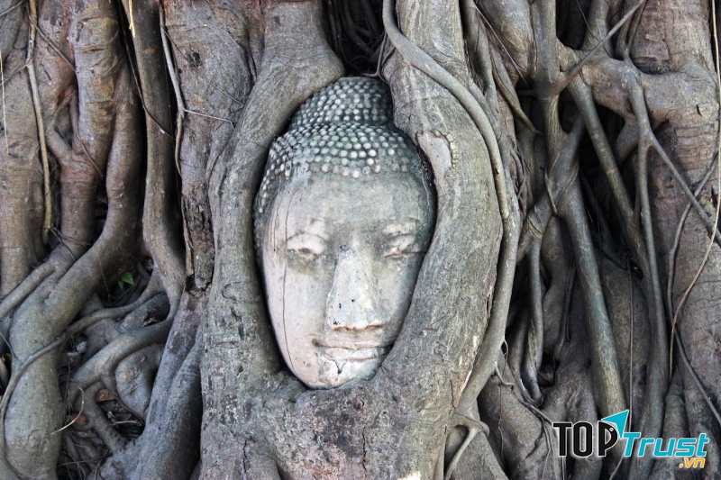 Bức tượng Phật nằm trong thân cây