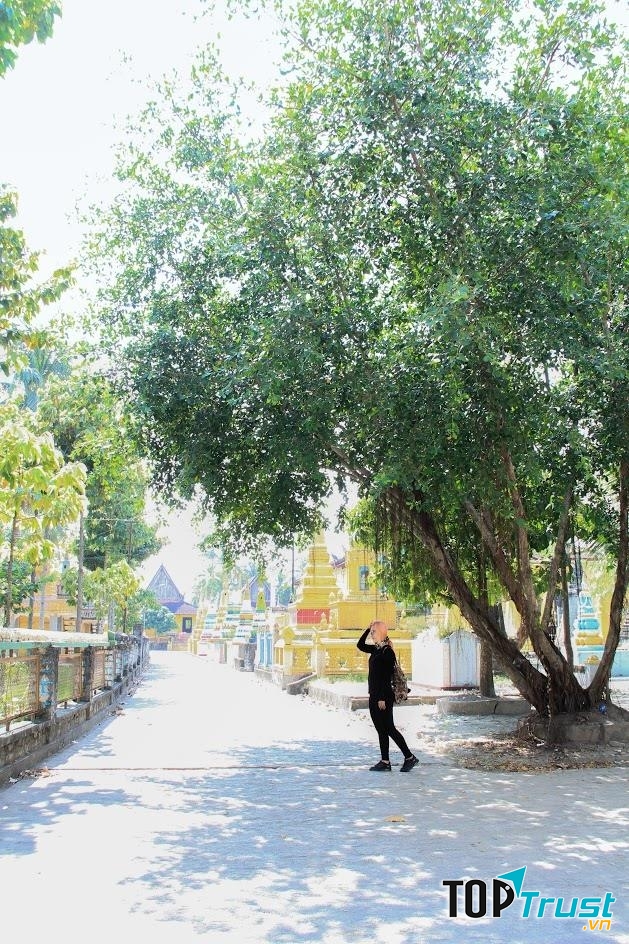 Lối nhỏ bên trong chùa với nhiều bóng cây thích hợp cho việc đi dạo và chụp hình