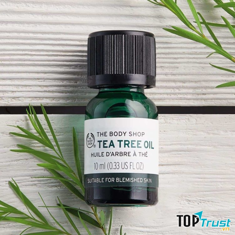 Tinh dầu tràm có công dụng kháng khuẩn, chống viêm