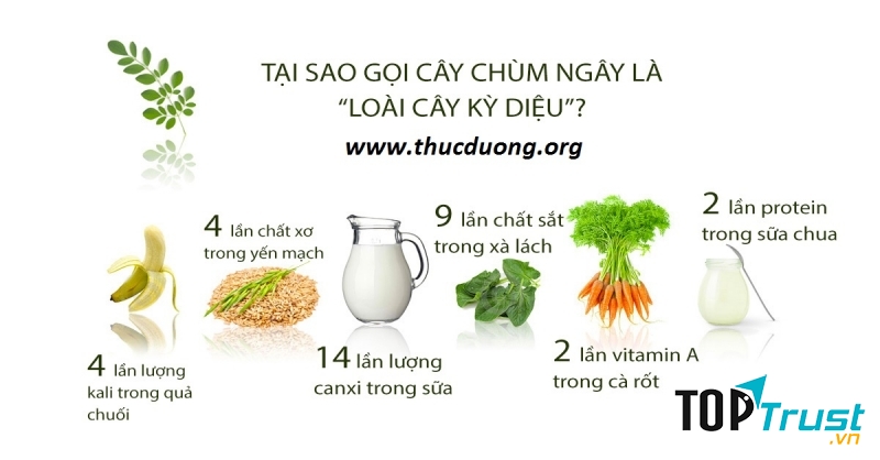 Tác dụng của chùm ngây đối với sức khỏe